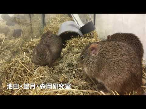 理学部　生物学科紹介