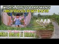 Wisata Baru Di Banyuwangi AGRO WISATA BUKIT RAYUD