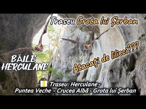 Grota lui Șerban, treseu Crucea Albă, Băile Herculane, Parcul National Domogled - Valea Cernei, 2025