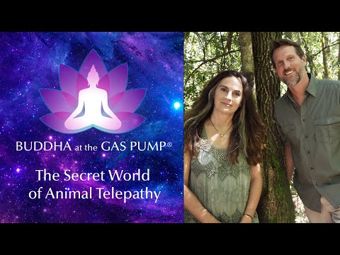 The Secret World of Animal Telepathy - Brad Laughlin & Anna Breytenbach - BatGap Interview