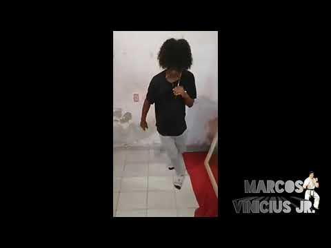 MC ALYSSON - TE ESBARREI NA NOVA HOLANDA  ( DJ POLYVOX E DJ BAMA )