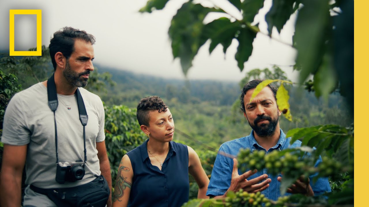 Travel to Costa Rica & Experience Pura Vida | National Geographic