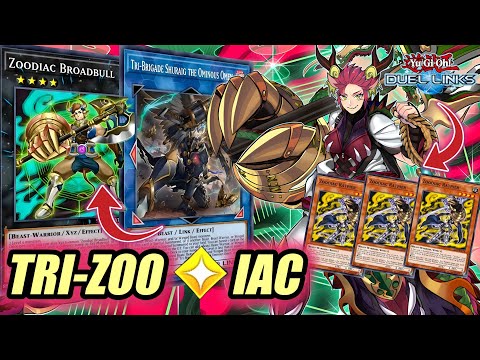 *NEW* ZOODIAC "FULL POWER"?! ×3 Raptier & ×1 Broadbull (ft. Tri-Brigade Version) [DUEL LINKS]