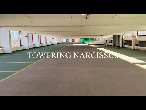 CHIHUAHUA - Towering Narcissus (DIY Music Video)