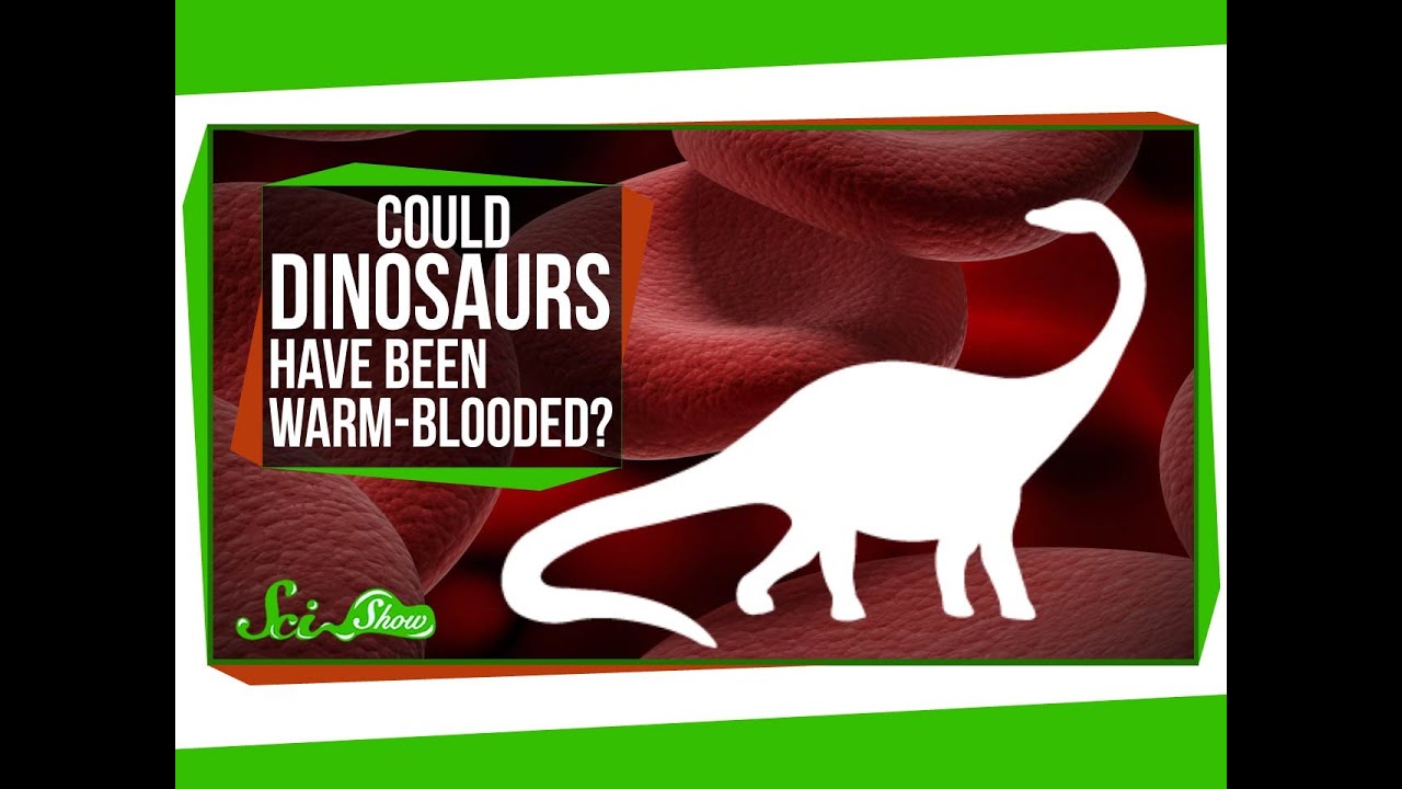 Could Dinosaurs Have Been Warm-Blooded? thumnail
