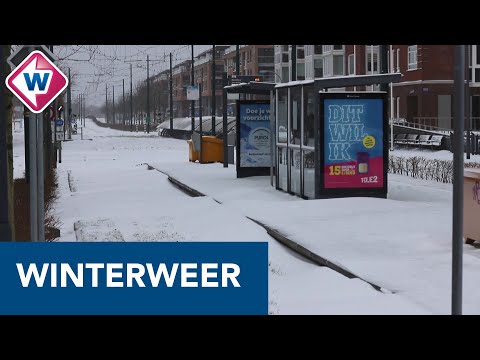 Regio ontwaakt in een witte wereld - OMROEP WEST