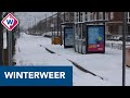 Regio ontwaakt in een witte wereld - OMROEP WEST
