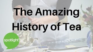 The Amazing History of Tea | practice English with Spotlight