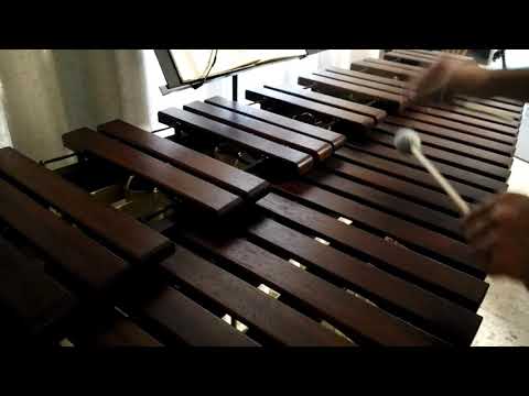 Inni di lode N°48: Fammi più perseverante Marimba Cover