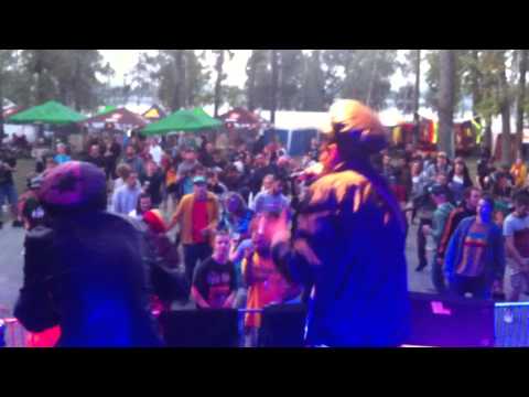 Dubapest Hifi's last tune at Mungo's stage with Babystep & Brother Culture