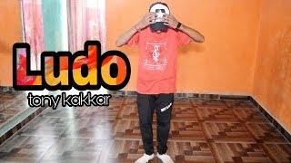 Ludo - Tony Kakkar ft. Young Desi | Dance By Prince Raj