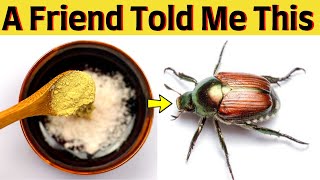How To Get Rid Of Japanese Beetle Naturally On Roses Plants In The House