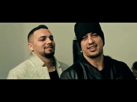 Dani Printul Banatului - La moda este 16-le (ofical video)