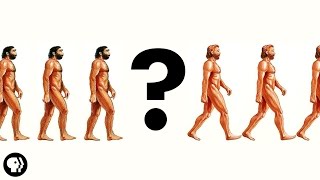 There Was No First Human | It's Okay To Be Smart | PBS Digital Studios