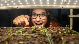 I Can't Believe What I Can GROW in HERE