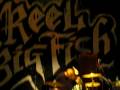 Thank You For Not Moshing - REEL BIG FISH