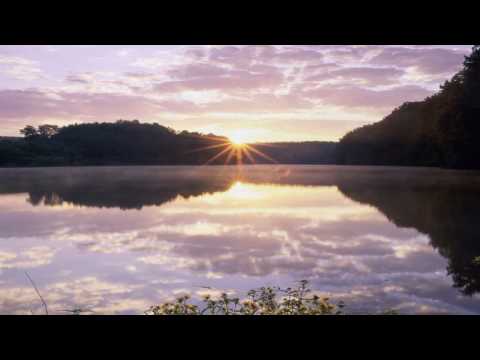 KOSTYA VETER FT MADELYN - ENVY / COLD BLUE - THE WOLF