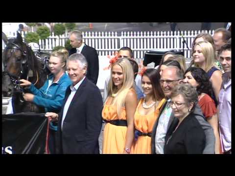 AUCKLAND CUP WEEK 2014- Official Opening Night