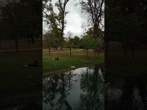 lago del parque sarmiento.CBA.