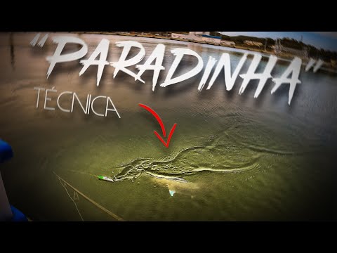 MAKE THEM ATTACK YOUR LURE - TECHNIQUE EXPLAINED