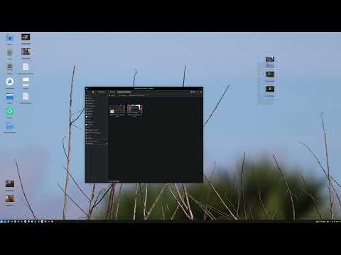 Reproducir video