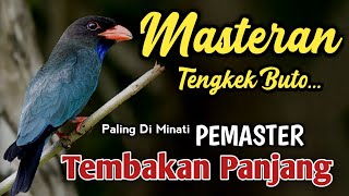 Download lagu MASTERAN TENGKEK BUTO PALING DI CARI ~ MATERI CEPAT DIHAFAL OLEH BURUNG CENDET, MURAI, CUCAK HIJAU mp3