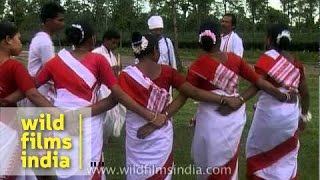 Jhumur dance of the Tea Tribe - Assam