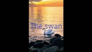 Download lagu #081 The swan サン・サーンス mp3 Download lagu #081 The swan サン・サーンス mp3
