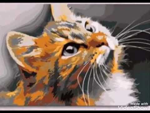 Coldplay x Porter Robinson x Krewella - Every language is alive (Kyante Wilson mashup)