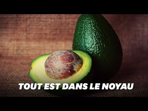 La meilleure partie de l'avocat n'est pas celle que vous pensez