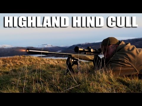 Schlachtung von Hochlandhindern