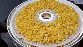 preview picture of video 'Dehydrating Sweet Corn For Food Storage'