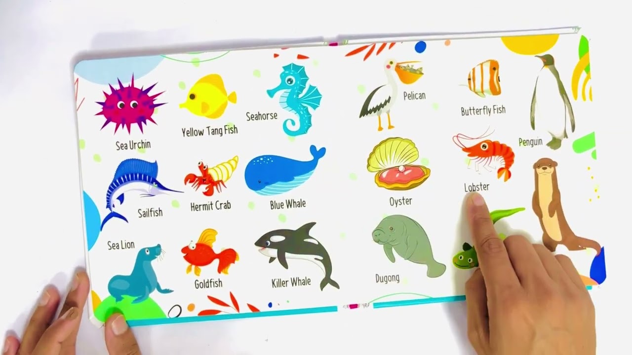 9789355419606 My First 100 Animals