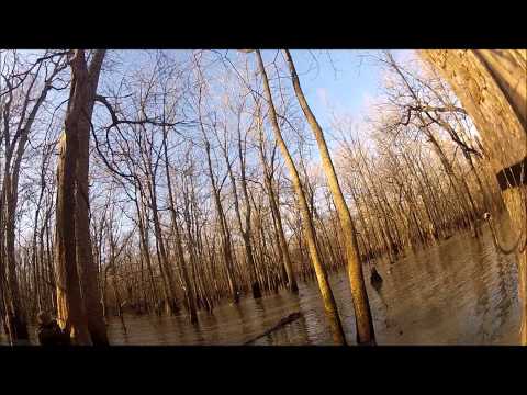 2013 Arkansas Green Timber Duck Hunting!! Running the Hole & Mallards in your Face!!