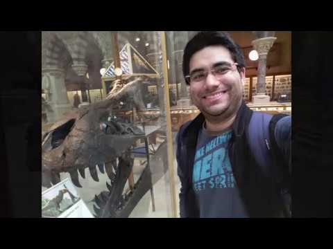 Oxford Museum of Natural History 2018 - Tyrannosaurus rex (T. rex) called Stan