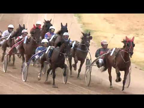 2022.07.30. 07. futam - ÖTÉVESEK NAGYDÍJA (NÜL-VI.)