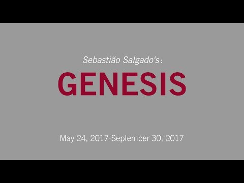 Opening Reception | Sebastião Salgado's: GENESIS