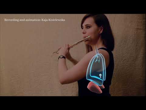 Lecture I - what is circular breathing?