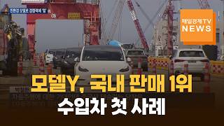 테슬라 모델Y '국내 판매 1위'…현대차·기아도 경쟁력 강화