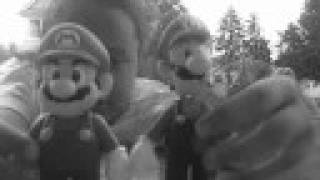 preview picture of video 'Mario and Luigi Go to Yoshi's Wedding'