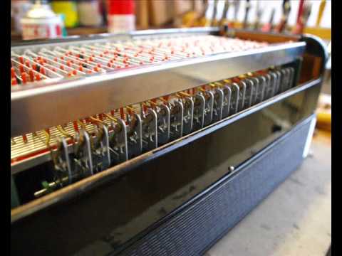 Weltmeister Cantora Baßcassotto