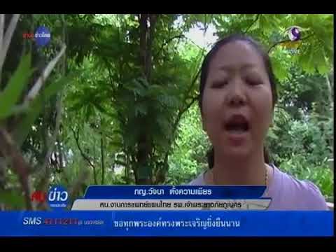 ความแตกต่างใน potencies ของ homeopathy แรงเวียน