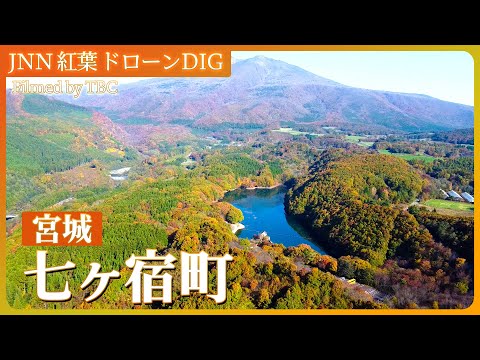 Minamizao Elder Lake/Ponte Suspensa Yamabiko [JNN Autumn Leaves Drone DIG 2023] | TBS NEWS DIG