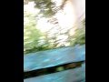 O Pisica Abandonată