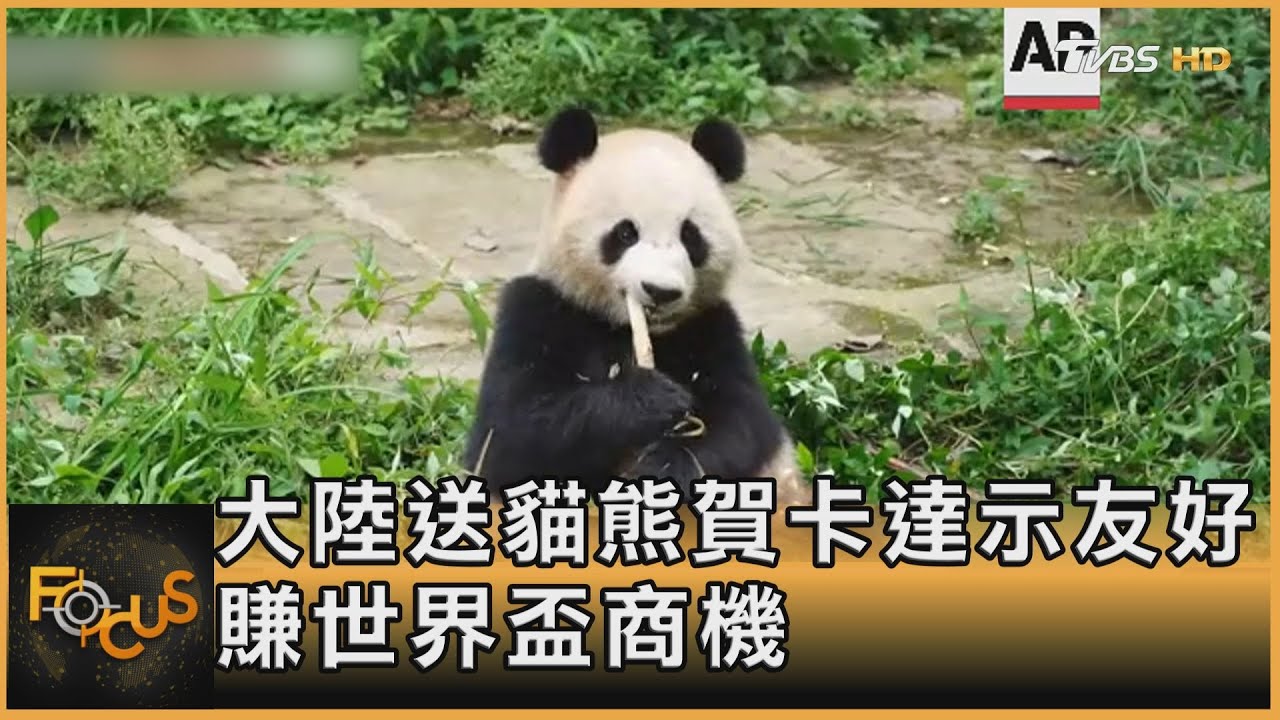 大陸送貓熊賀卡達示友好 賺世界盃商機