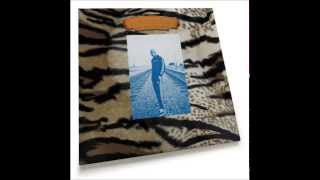 Freddie Gibbs & Madlib – Knicks Remix ft. Action Bronson, Joey Bada$$, Ransom