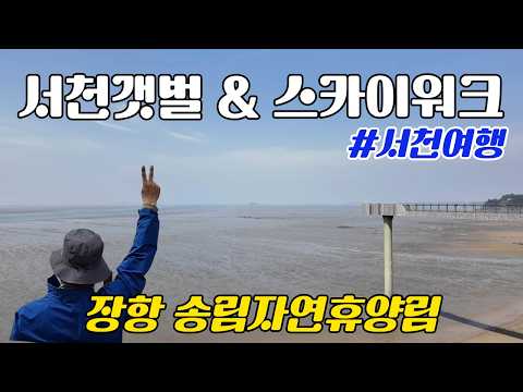 장항송림자연휴양림과 스카이워크