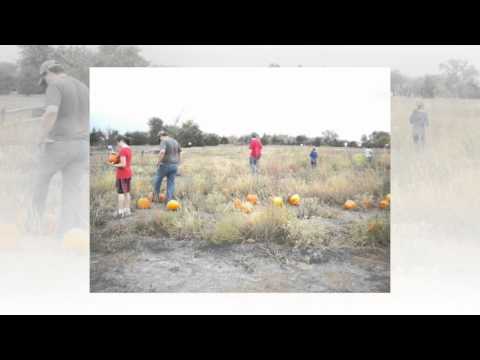 download lagu mp3 mp4 Wichita Area Pumpkin Patches, download lagu Wichita Area Pumpkin Patches gratis, unduh video klip Wichita Area Pumpkin Patches