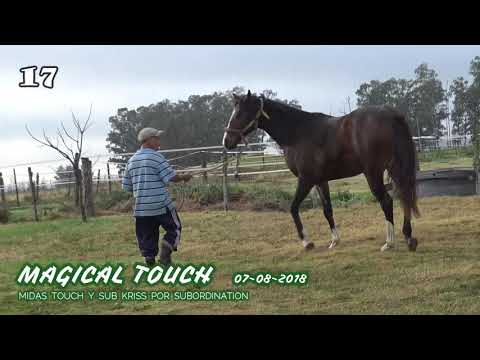 Lote MAGICAL TOUCH