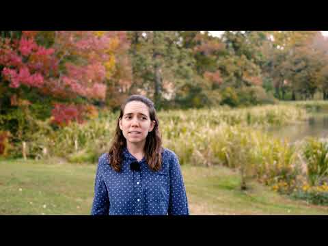 Student Success Tip #23 Dr Katie Anders - YouTube